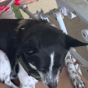 Meet your Posher, Matt